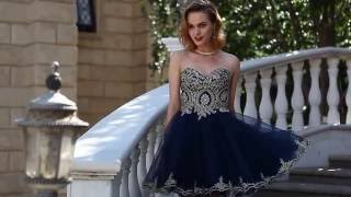 ALine Net Dark Navy Short Homecoming Dresses 2017  Hebeos [upl. by Atterbury963]