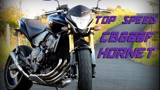 HONDA CB 600F HORNET  TOP SPEED HD [upl. by Suivatal709]