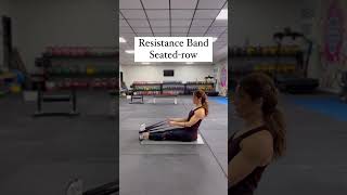 Resistance Band Seated Row [upl. by Allbee2]