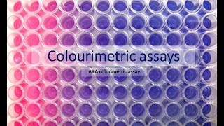 Colourimetric assays aka colorimetric assays What are they and how do they work [upl. by Nottirb]