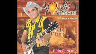 RESPOSTA A MULHER CASADA  Amado Edilson [upl. by Anewor]