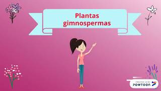 Plantas con semillas angiospermas y gimnospermas [upl. by Ajnot215]