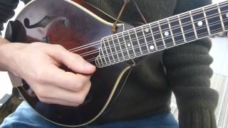 Learn To Play Tremolo  Mandolin Lesson [upl. by Walley]