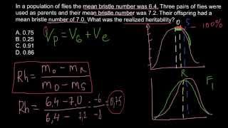 How to calculate realized heritability [upl. by Dilks]