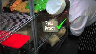 Food safety coaching Part 3 Pest control [upl. by Oira704]