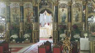 Episcopia GrecoCatolică de Oradea Live Stream [upl. by Alleyne]