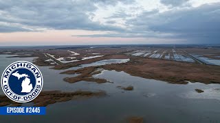 Duck Hunting Pheasant Hunting Deer Hunting Michigan Out of Doors TV 2445 [upl. by Hctub]