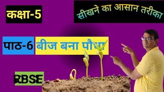 कक्षा5पर्यावरणपाठ6 RBSEबीज बना पौधाCLASS5CHAPTER 6BY SATYANARAYAN SAHU [upl. by Huber807]