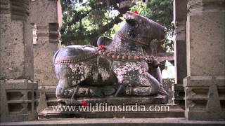 Statue of Nandi at Kashi Vishweshwar Mandir in Wai Satara [upl. by Koeninger]