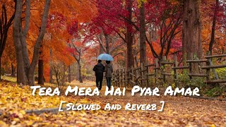 Tera Mera Hai Pyar Amar  Slowed And Reverb  Ishq Murshid  Ahmed Jahanzeb [upl. by Spenser]