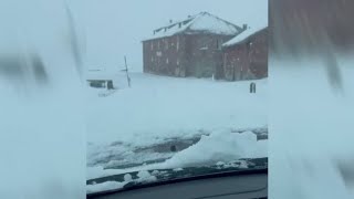 Passo dello Stelvio inizia lestate sotto la neve [upl. by Brewster]