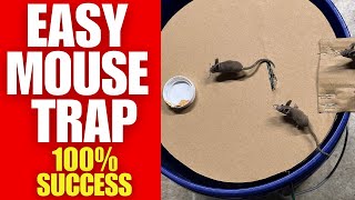 Easy DIY Mouse Trap  Simple Homemade Design  100 Effective [upl. by Auohs]