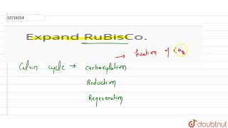 Expand RuBisCo  11  RESPIRATION IN PLANTS  BIOLOGY  PRADEEP  Doubtnut [upl. by Jaymee]