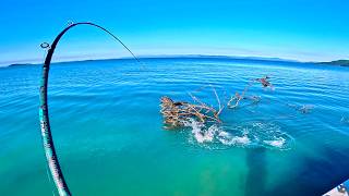 INSANE Coastal SIGHT FISHING [upl. by Ayanet148]