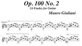 Mauro Giuliani Op 100 No 2 Grazioso in G Major [upl. by Scoville]