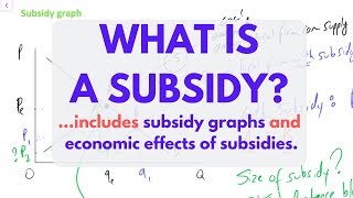 What is a SUBSIDY Subsidies EXPLAINED [upl. by Truelove]