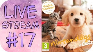 🔴 LIVESTREAM 17 Nintendogs Cats  I sopravvissuti gallette e tanto altro Shish 🍦👑 [upl. by Ynaffik]