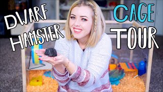 Moving My Hamster Into His New Cage  Dwarf Hamster Cage Tour [upl. by Harikahs701]