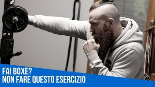 Allenamento Boxe  Aumentare Forza ed Esplosività del Pugno [upl. by Adidnac]