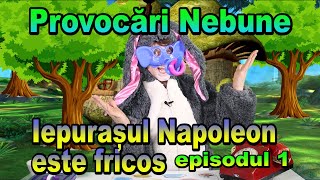 Provocari nebune  Episodul 1 Iepurasul Napoleon este fricos [upl. by Enivid316]