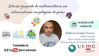 Detecção frequente de multirresistência aos antimicrobianos em patógenos de peixes [upl. by Pamela66]