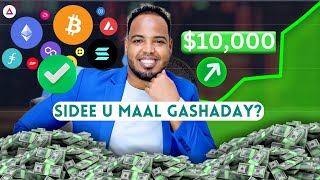 CRYPTO Bishi meeqaa ka samayn kartaa Live QampA  Eng Abdishakur [upl. by Ofelia]