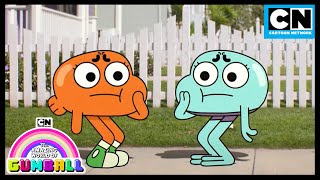 Whos The Real Darwin  Gumball  Cartoon Network [upl. by Eciryt]