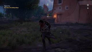 Assassins Creed Origins Phylakes Prey Completed [upl. by Nirac]