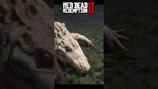 rdr2 rdr260fps rdrgameplay gaming arthurmorgan reddeadredemption [upl. by Prudy]