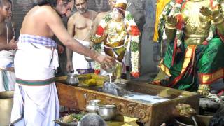 Thirumanjanam Sri Vidhya RajaGopala Swamy Mannargudi [upl. by Vano468]