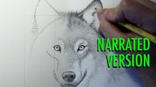 How to Draw a Wolf Narrated [upl. by Trixie231]