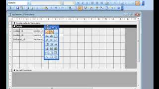 Access 2003 Insertar calendario en un formulario  wwwofimaticaparatorpescom [upl. by Hynda]