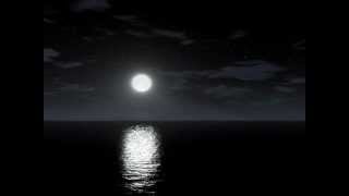 Beethoven Moonlight Sonata 2nd movement HD [upl. by Miza]