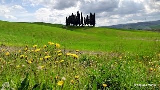 La VAL DORCIA vista da PIENZA  Tuscany  Full HD [upl. by Buiron]