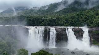 📍Athirapally waterfalls Kerala Rainforest resort [upl. by Freytag]