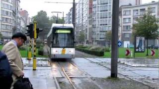 Antwerpen Hermelijn Low Floor Trams [upl. by Orteip]