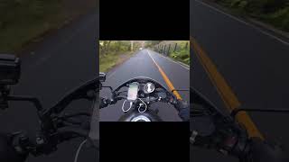 KAWASAKI Z900RS CAFE  Exhaust Sound [upl. by Ainegue465]