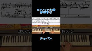 Chopin Piano Sonata No3 mov4 shorts piano ピアノ クラシック [upl. by Nylzzaj613]