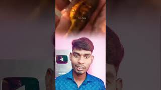 🔥sea ​​horse sothanaigal 🤔❗trending facts youtubeshorts shortsfeed shorts  vvt [upl. by Desi]