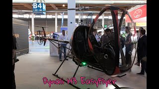 Dynali H3 EasyFlyer Helicopter [upl. by Ardnosak]