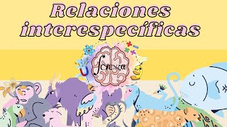 Relaciones INTERespecíficas  Tipos  Ejemplos [upl. by Akinehs750]