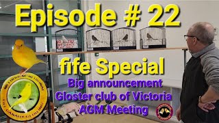 Episode  22 Gloster Canary Australia The Fife Canary Special [upl. by Acissaj]