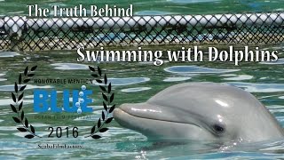 The Truth Behind Swimming with Dolphins [upl. by Werda655]