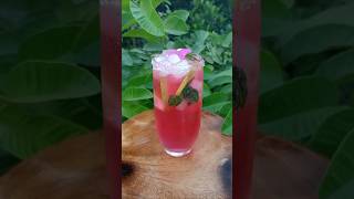 Lebu pudina power drinksshort video [upl. by Asilat]