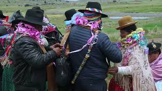 Así se celebran los carnavales en la Comunidad de Coromata Media  Carnavales 2024BOLIVIA [upl. by Boswell]