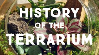 How Plants Became Houseplants  History of the Terrarium [upl. by Godrich]