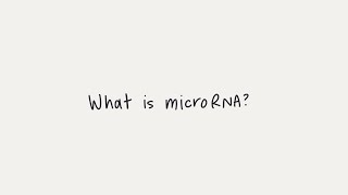 What is microRNA miRNA [upl. by Ayhdiv39]