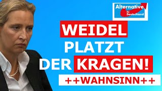 Alice Weidel platzt der Kragen [upl. by Namyh]