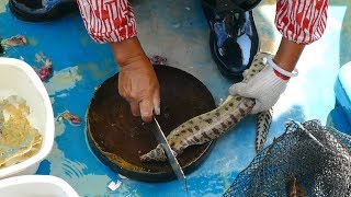 Cutting live Moray eel at Sai Kung seafood market  Hong Kong [upl. by Nameloc]