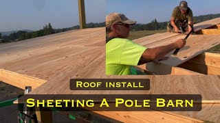 Sheathing a pole barn roof install [upl. by Eicam723]